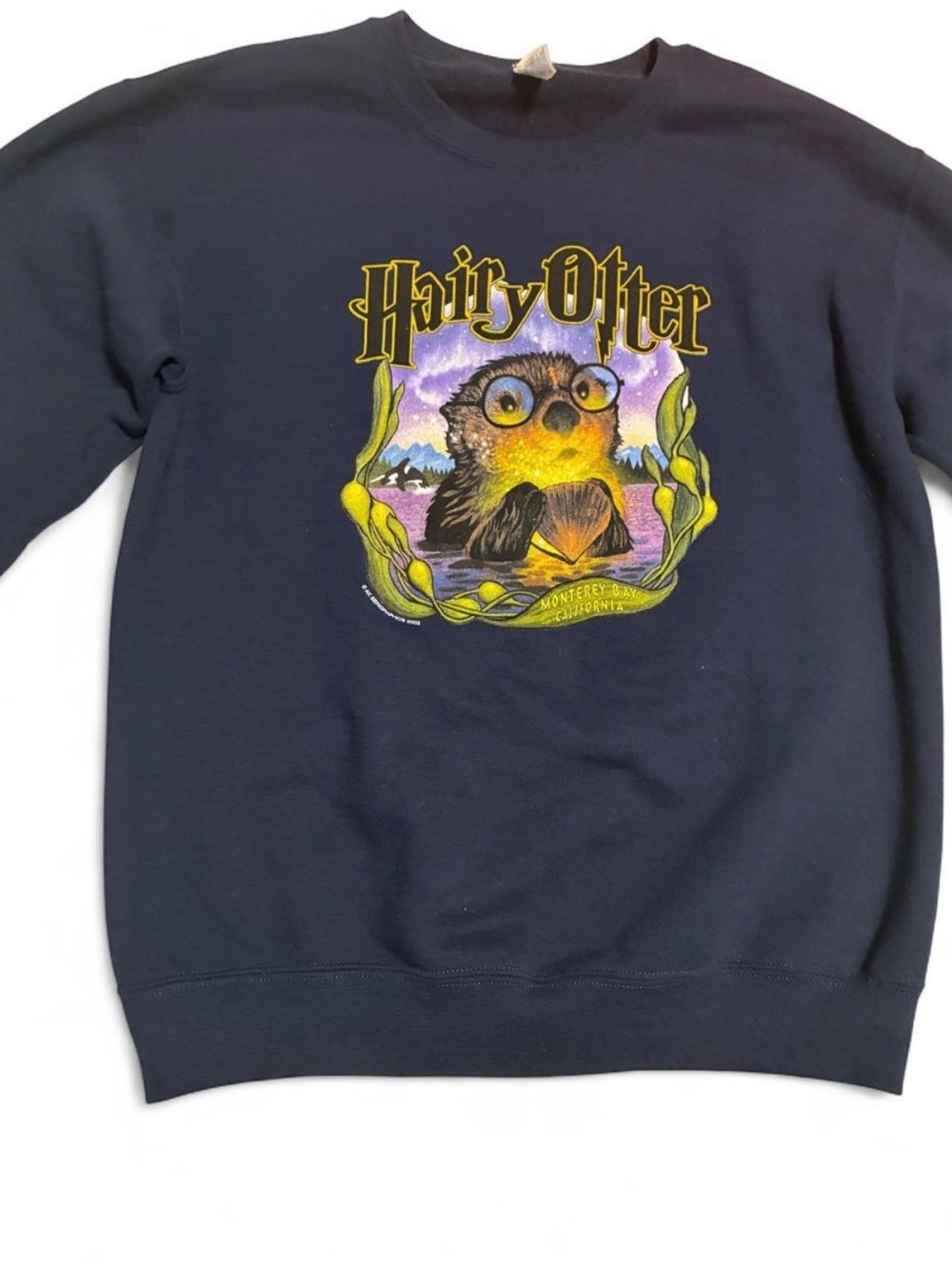 Hairy Otter Graphic Crewneck Sweatshirt - Navy, Size Small